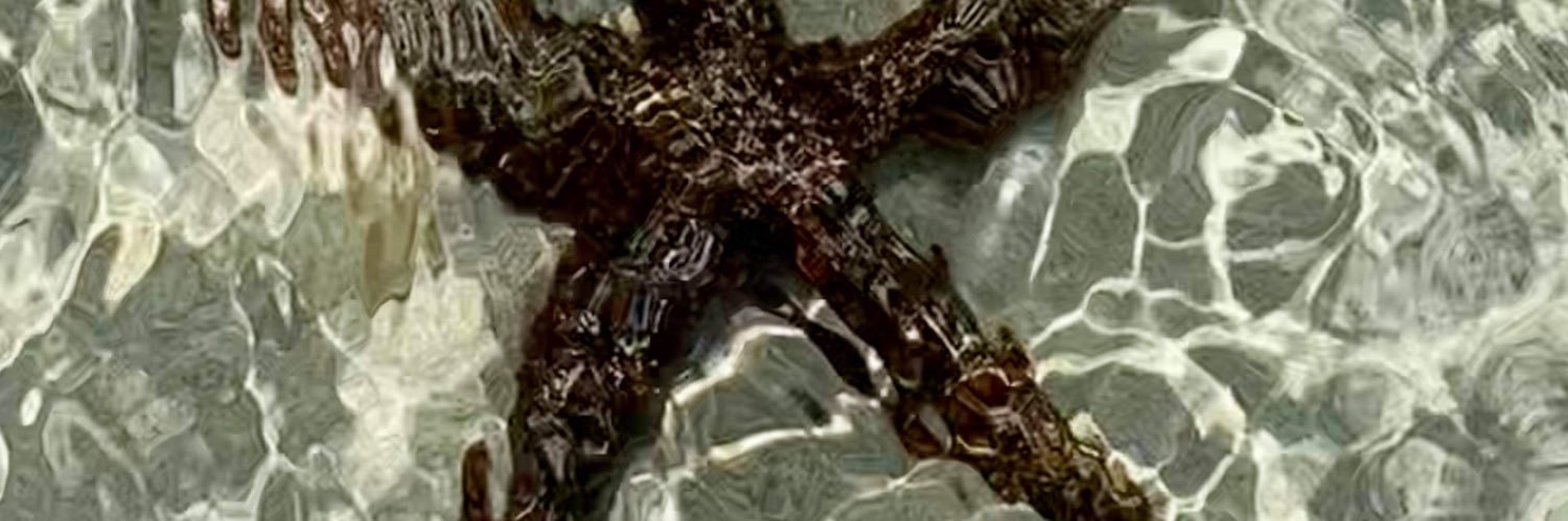 matthewreade's profile banner image