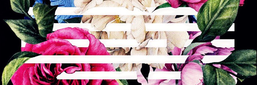NOGUchimchim's profile banner image