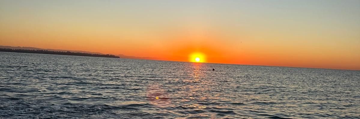 refika_erol's profile banner image