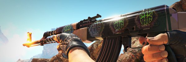 LlamaWH Profile Banner
