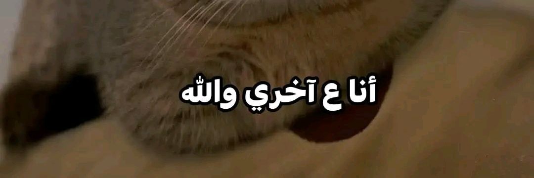 𐂂ᓚɹ̇lɺj⎽ċ banner