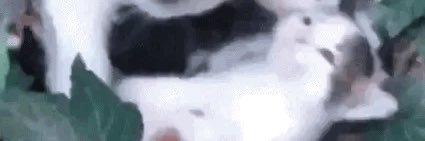 love and peace banner