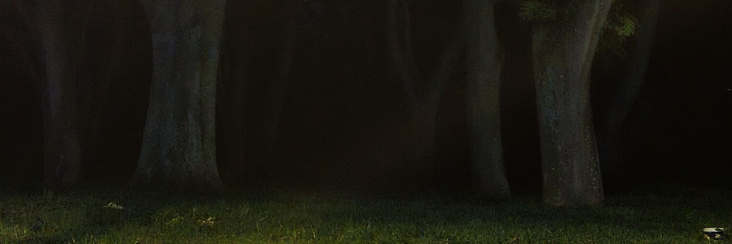 icekabo's profile banner image