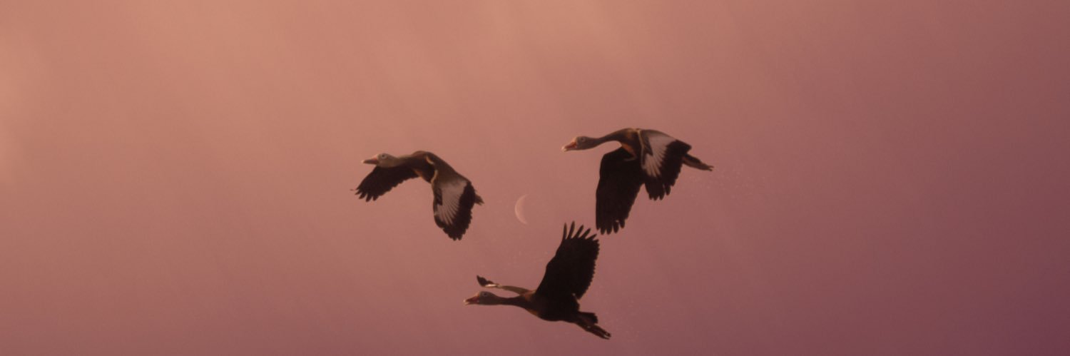 EfrenRubio_'s profile banner image