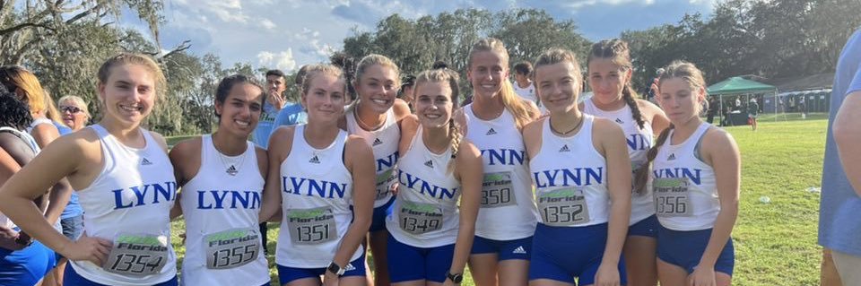 Allison Bratton banner