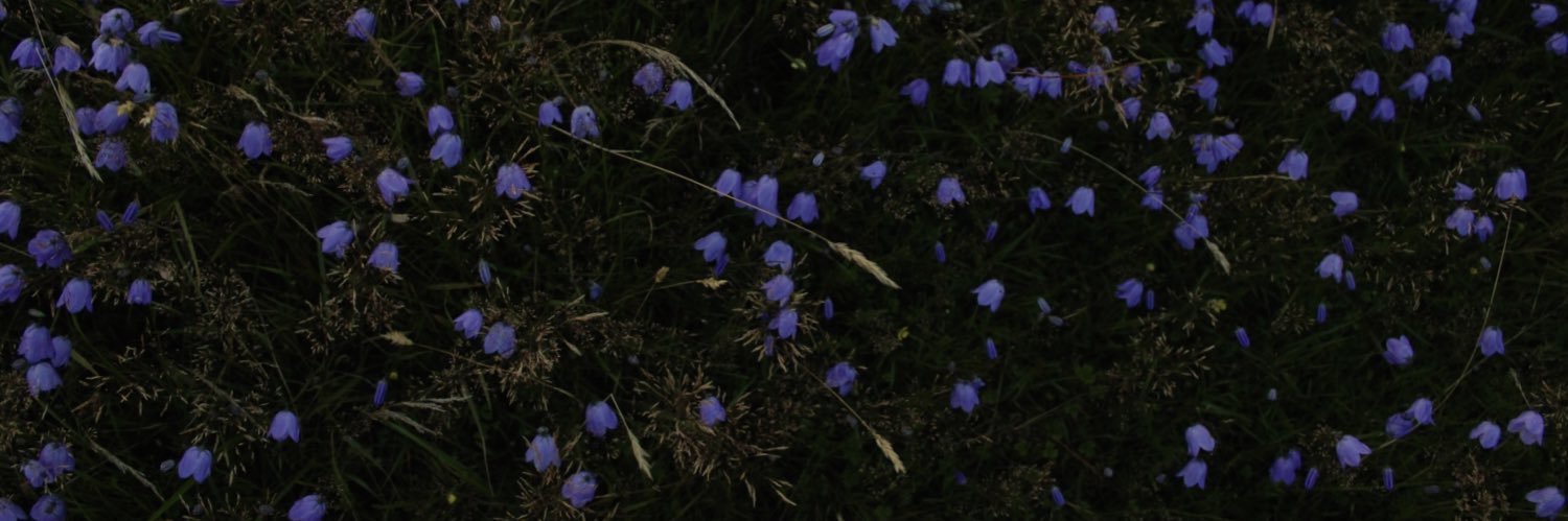 lahunter_'s profile banner image