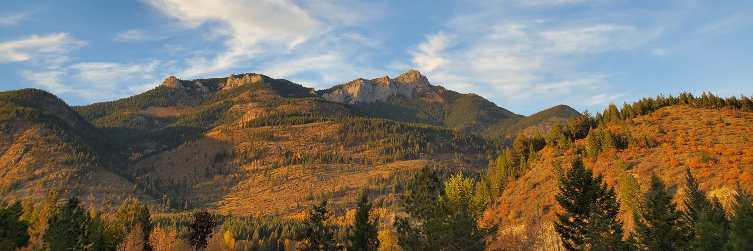Isabelle Beaune banner