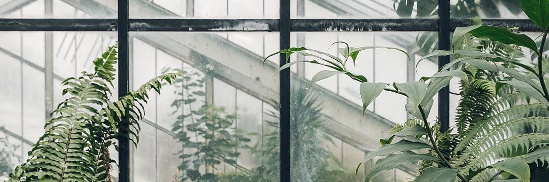 Angel Amour • NO PVV! 🕊 banner