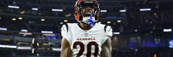 Bengals Argentina 🐯🇦🇷 banner