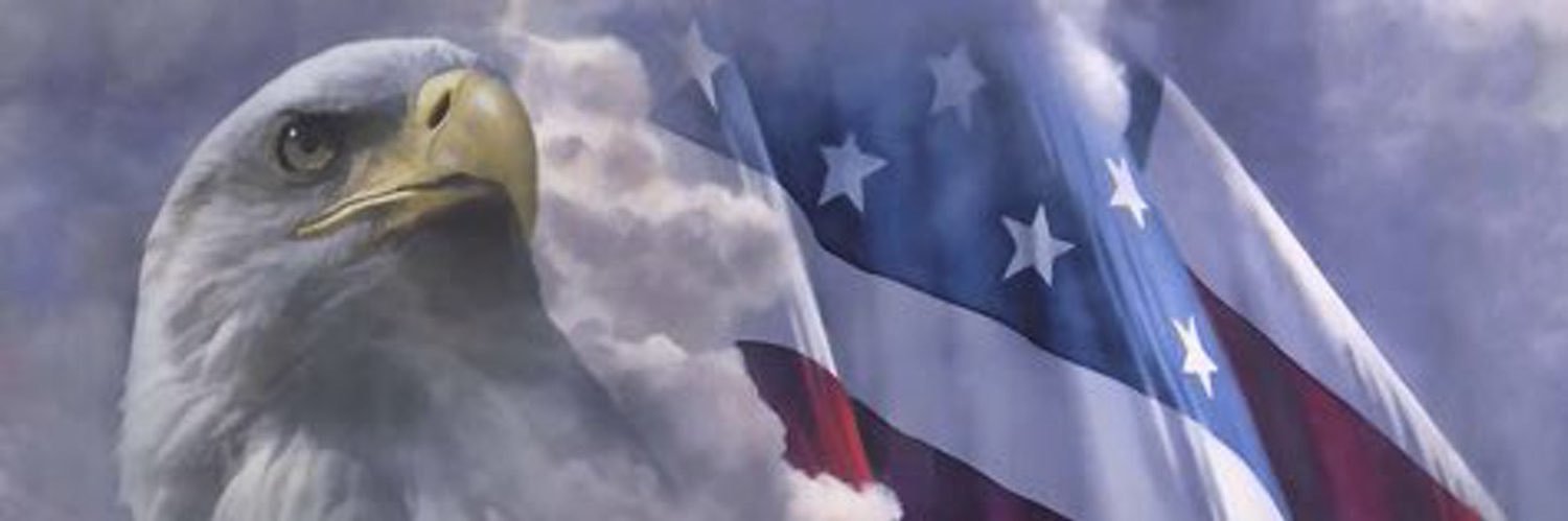 Joe Patriot's banner