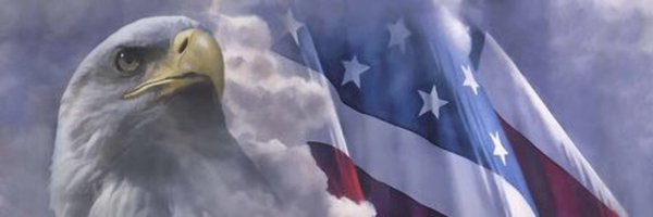 Joe Patriot Profile Banner