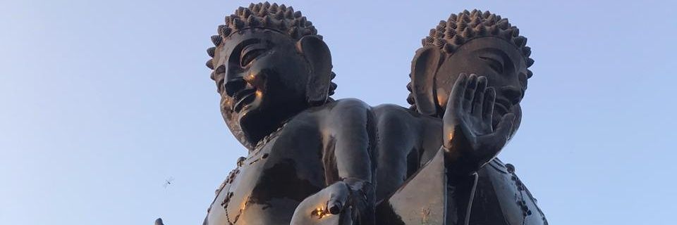 SamridhiSocial's profile banner image