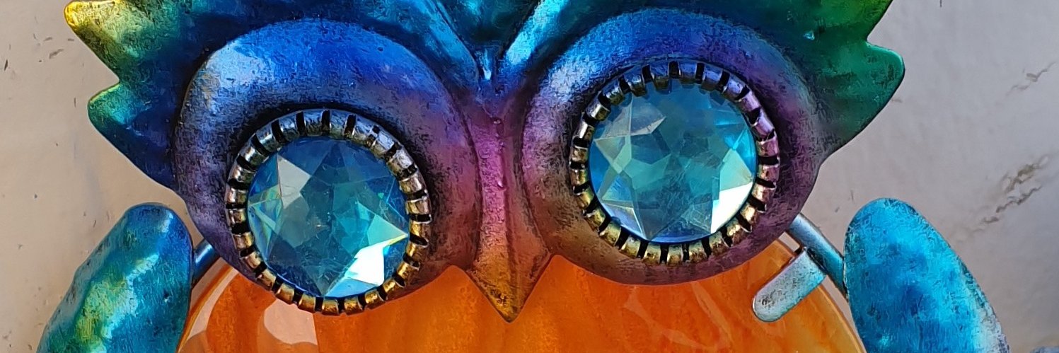 VissenInTroebel's profile banner image
