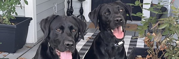 jennvinestx Profile Banner