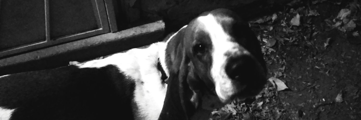 magick12000's profile banner image
