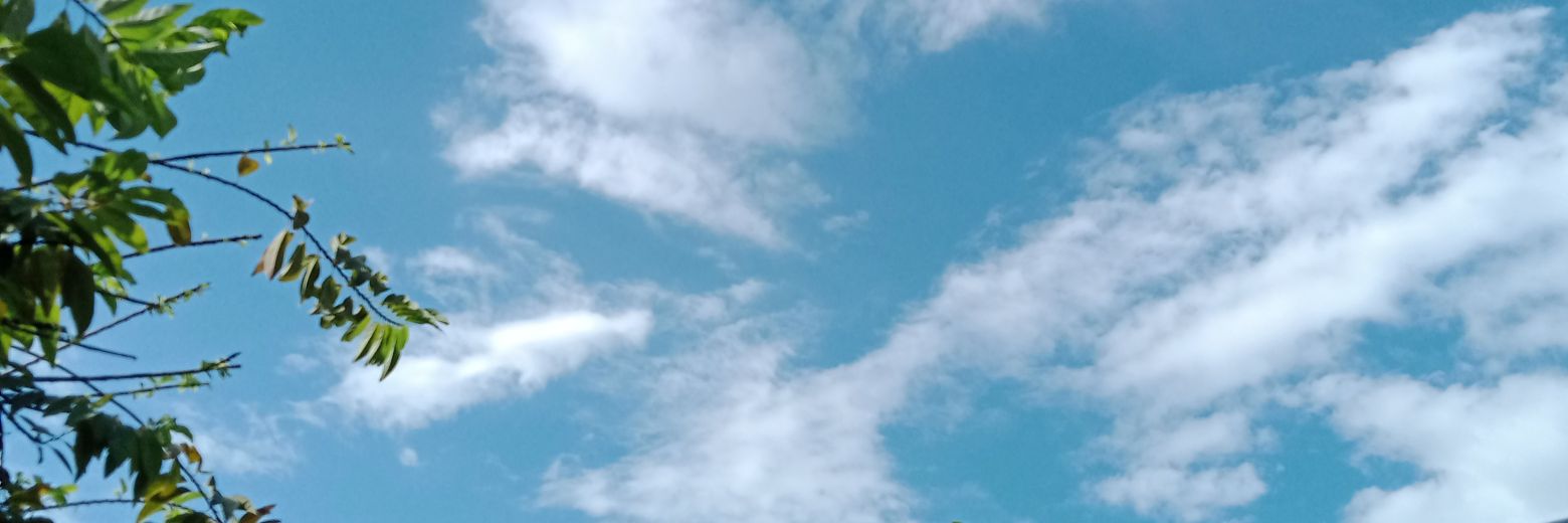 imnadya__'s profile banner image