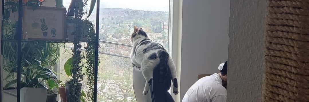 chloegallz's profile banner image