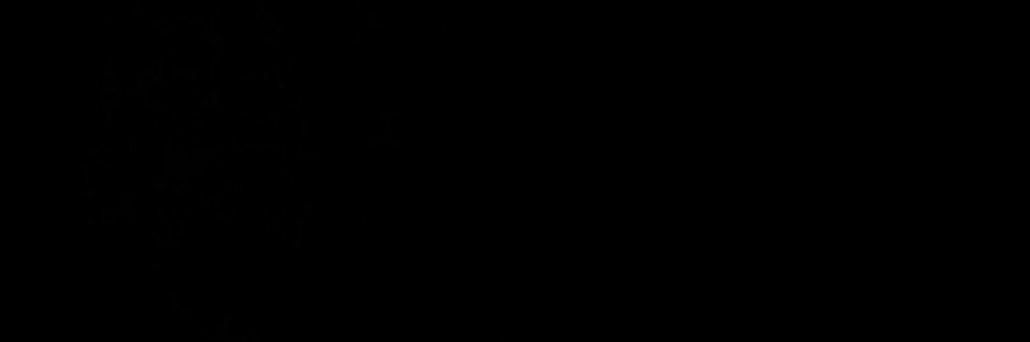 𝙰𝚞𝚛𝚘𝚛𝚊 🖤 banner