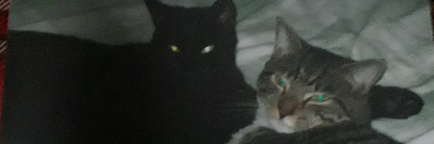 dowrick87's profile banner image