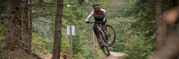 TheAldriguzDev Profile Banner