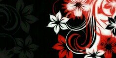 Maro0oshty's profile banner image
