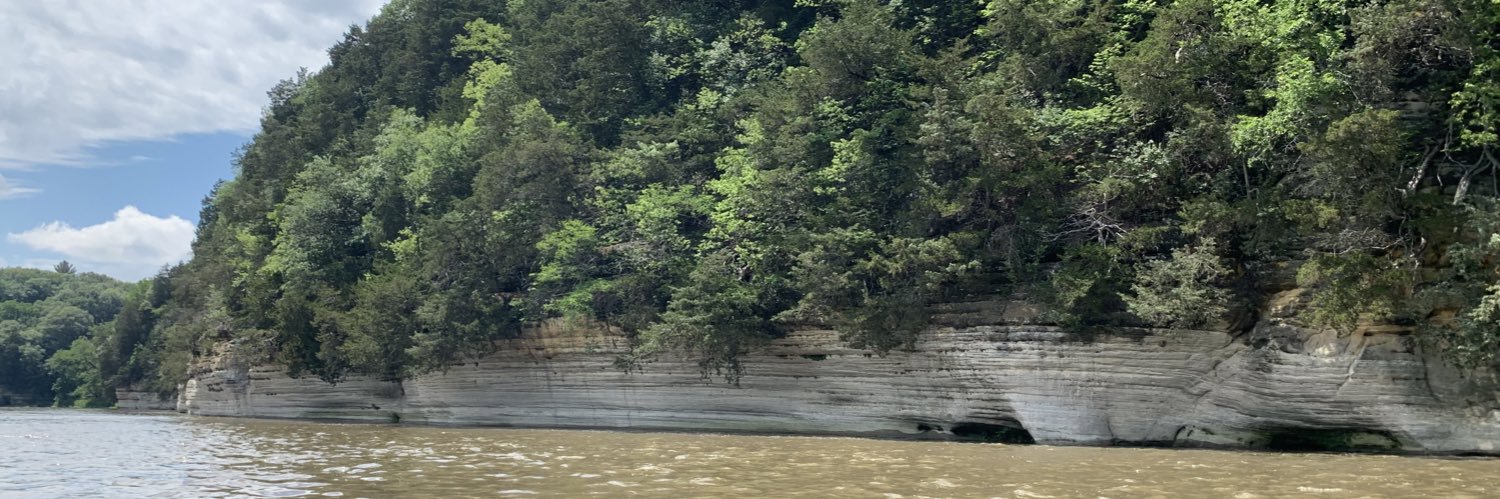 Lower_Fox🇺🇸 banner