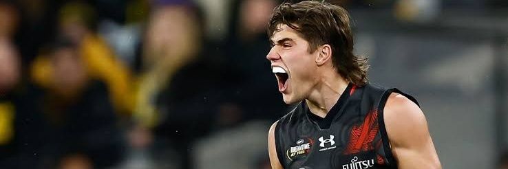 Essendon #Bombers interactions #essendon #godons banner