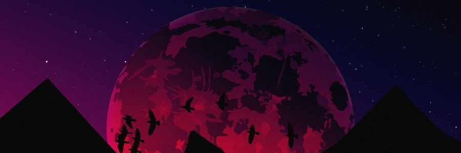 ShadoSignature_🃏 banner