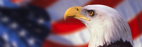 Pollock2024NP Profile Banner