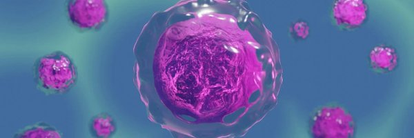 fabri_bon87 Profile Banner