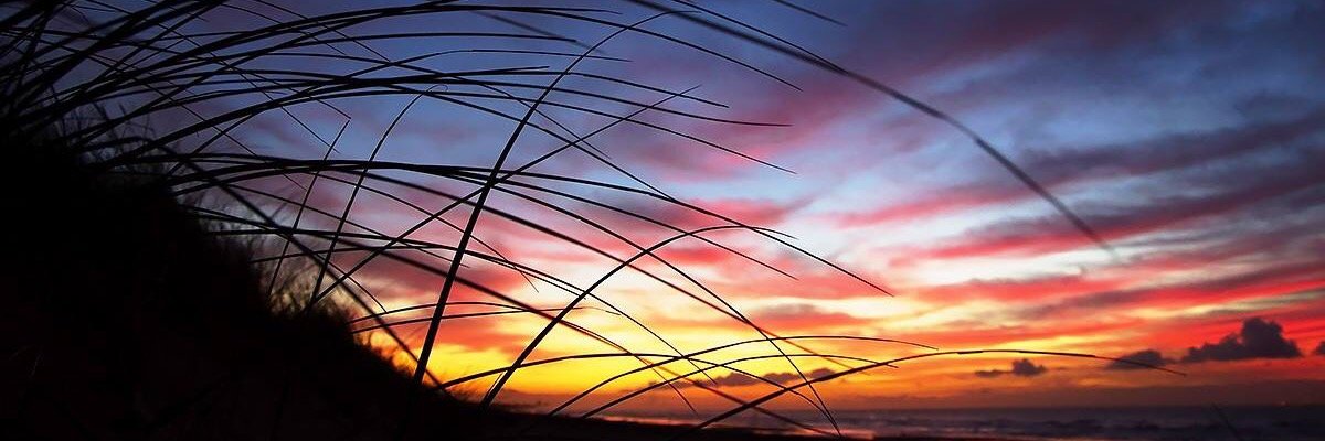 CAA Foundation banner