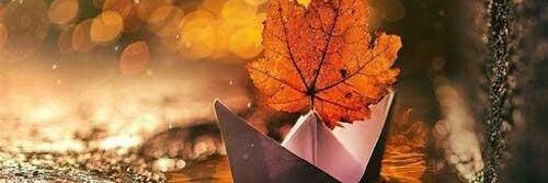 جوانه's banner