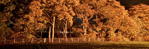 EleanorGodwin7 Profile Banner