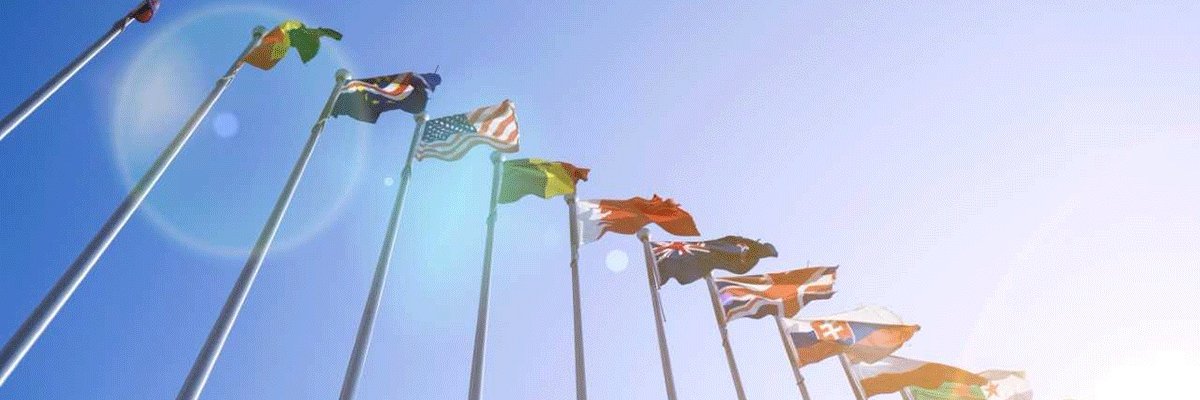 Simin Fahandej banner