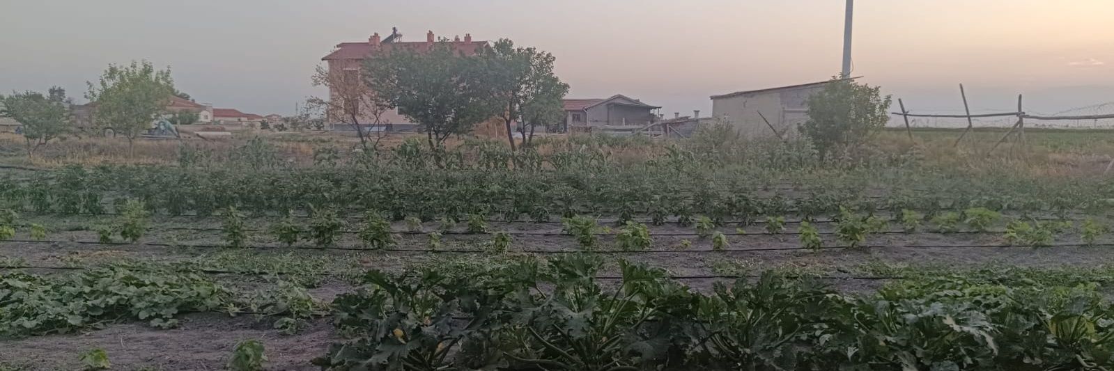 Garip bir Nurse☀️ banner