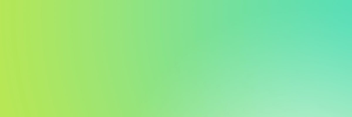 Anna Cecconello banner