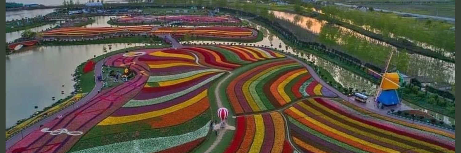 Jim (the Flyers and Expos Fan) banner
