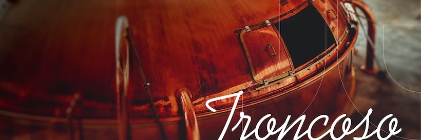 Troncoso Distribuidora banner