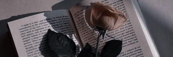alyavzb's profile banner image