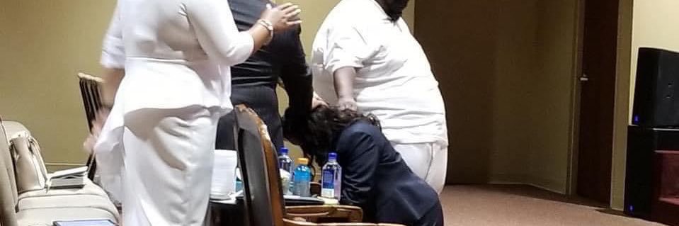 Rev. Dr. Brigitte Franklin banner