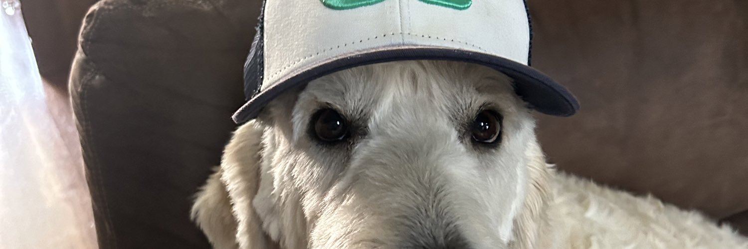 wheat84's profile banner image