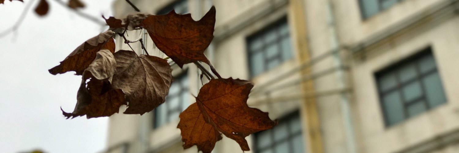 nice6969's profile banner image