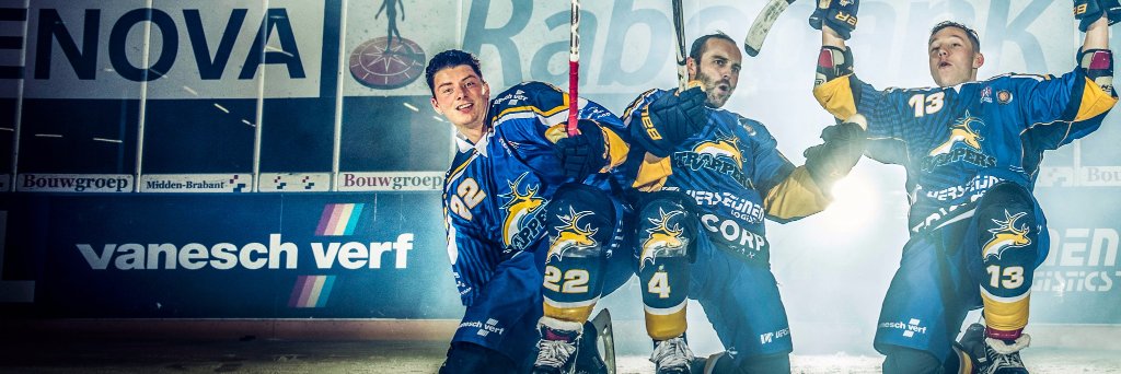 VaneschVerf's profile banner image