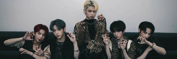 𖧷₊𝘀𝗵𝗮𝗺 banner