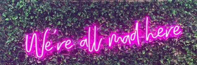 JustLetitBrie's profile banner image