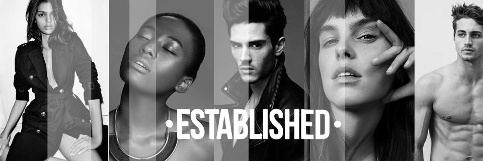 Established Models banner
