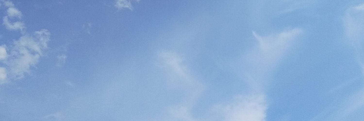 angelaa_mn's profile banner image
