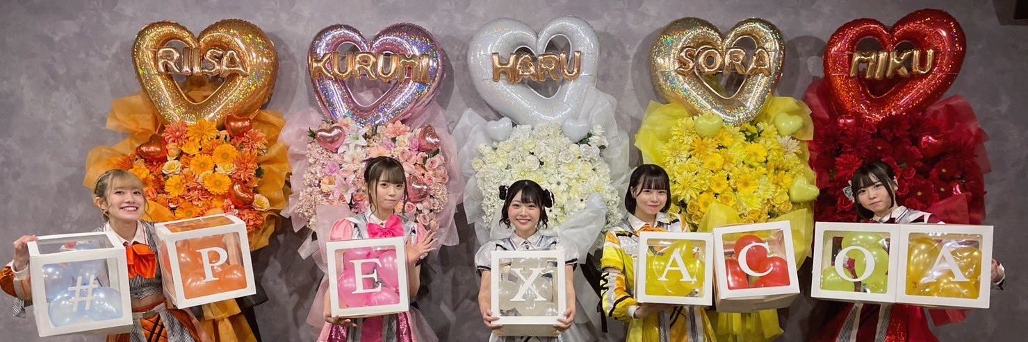 NOB11664478's profile banner image