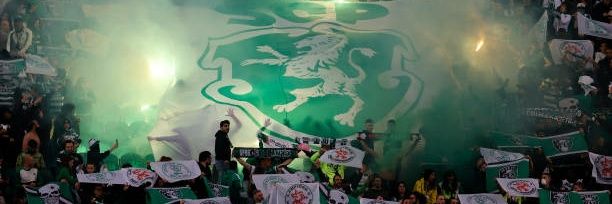 Rafael banner