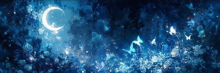 Starry✦. ° . ✦ banner